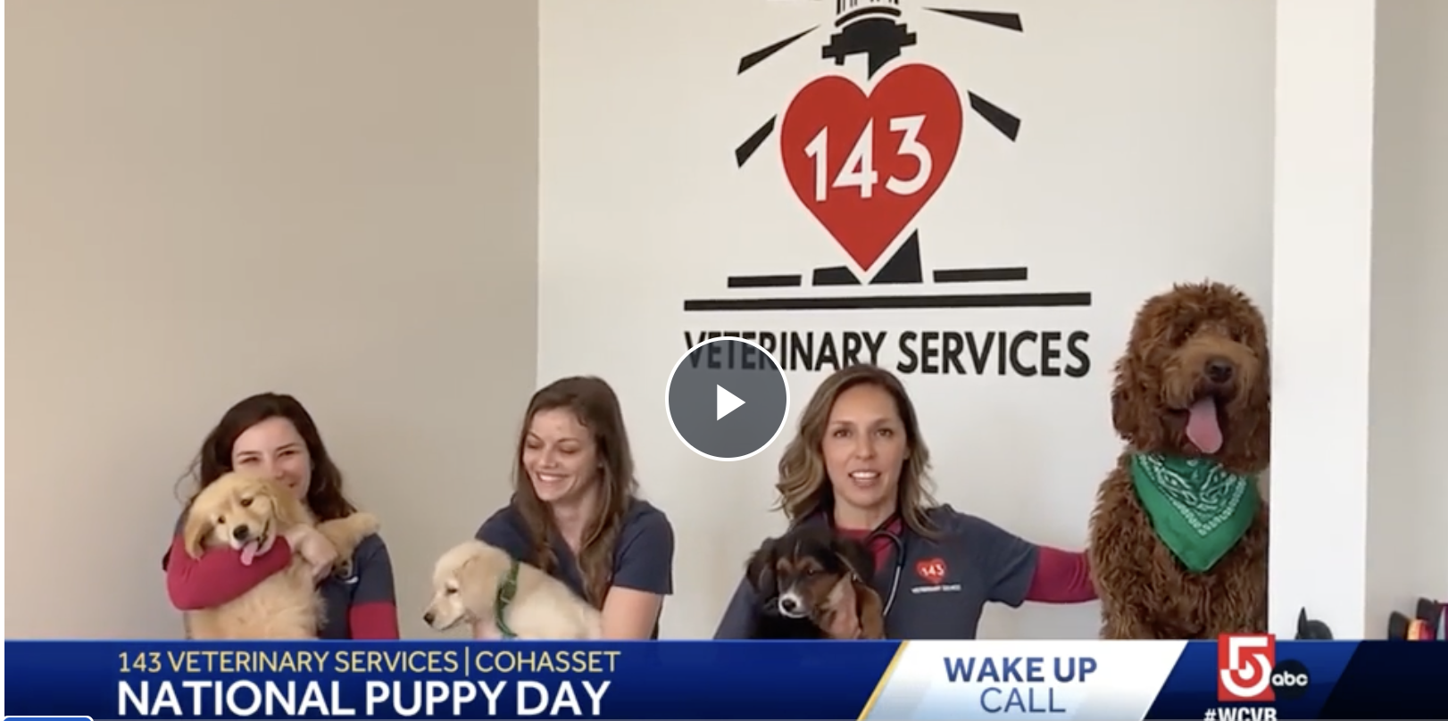Wake Up Call from 143 Veterinary Services in Cohasset