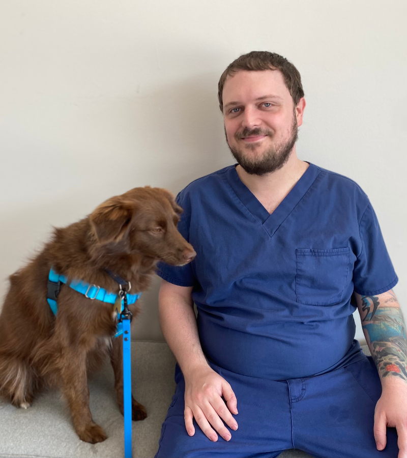 mike 143 Veterinary Services Team with kittens